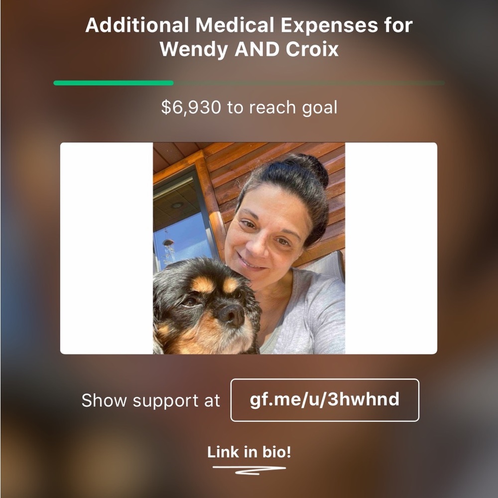 Additional medical expenses for Wendy and Croix - Picture 1 of 1